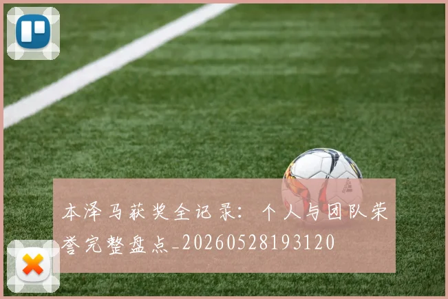 本泽马获奖全记录:个人与团队荣誉完整盘点_20260528193120